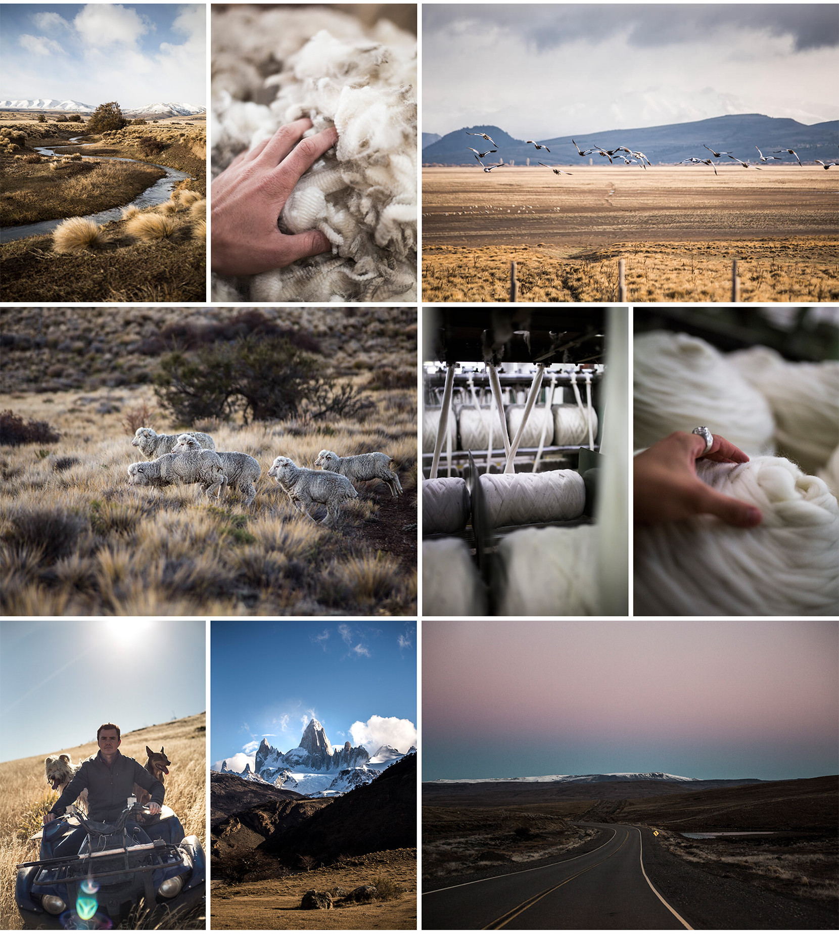 Nativa 5999 - Nash and Young