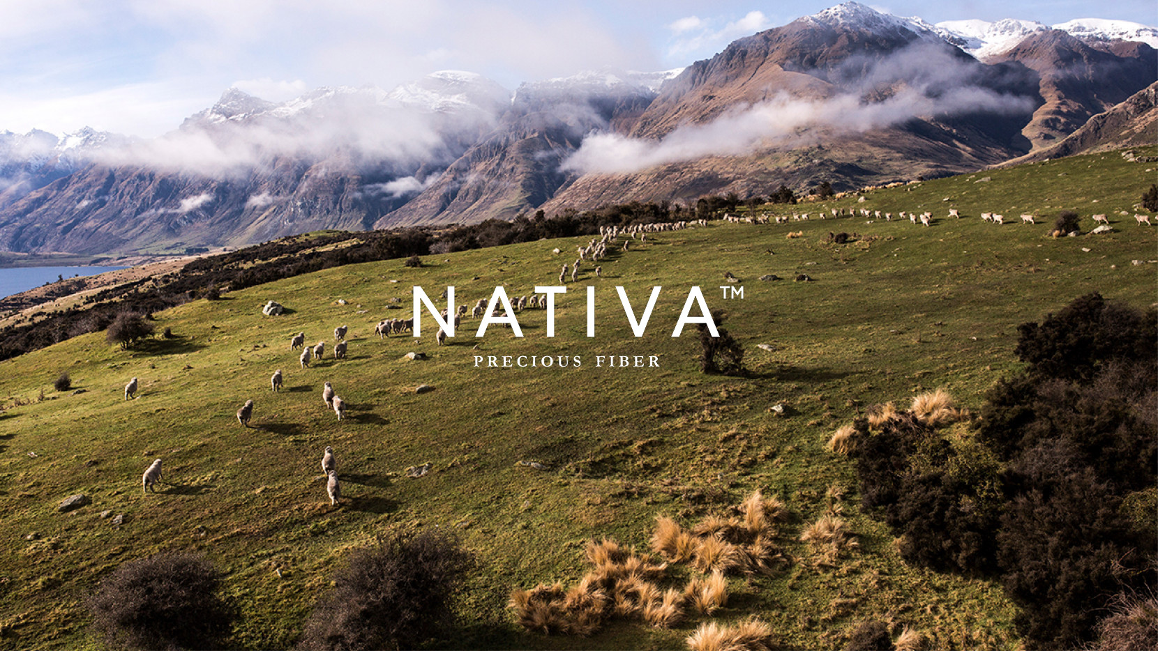 Nativa 3195 - Nash and Young