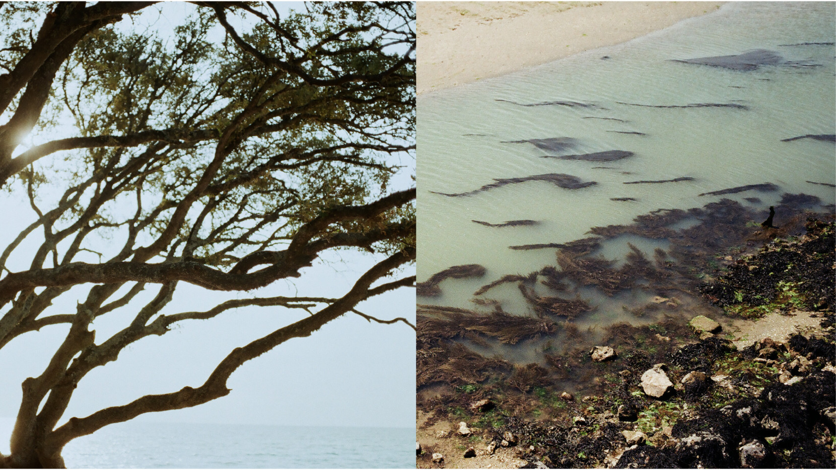 Herio 3524 - Nash and Young