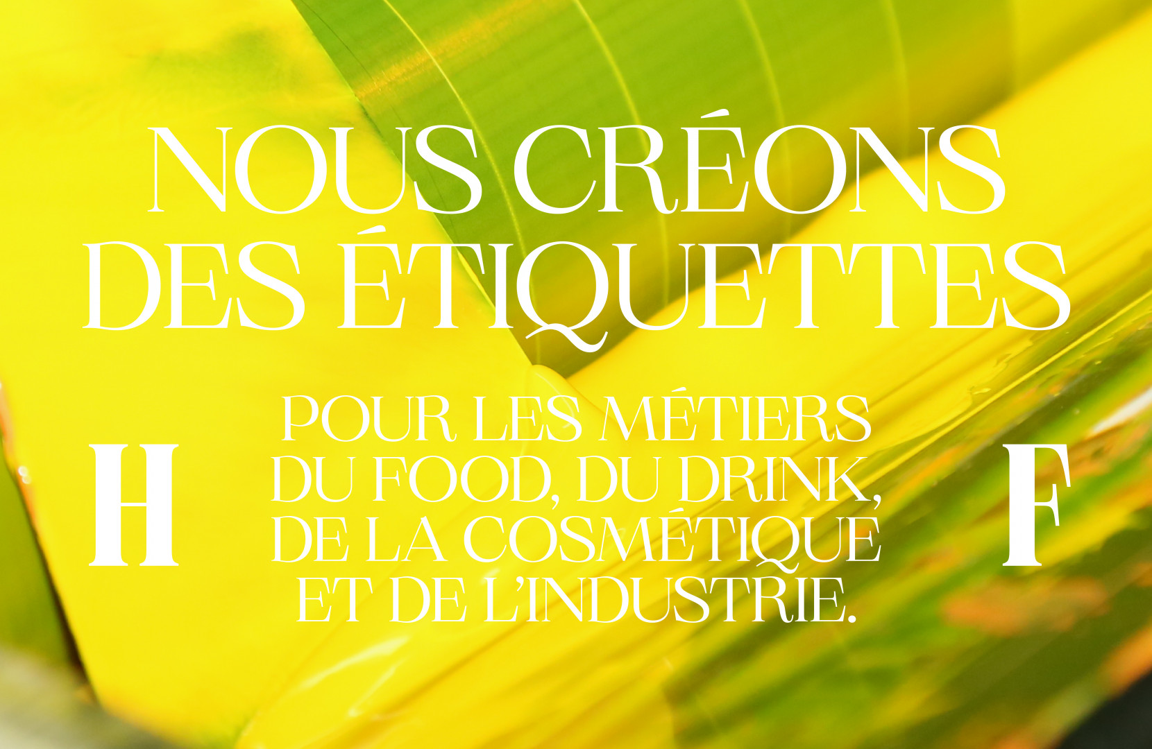 Heuls&Fiquoy 3199 - Nash and Young