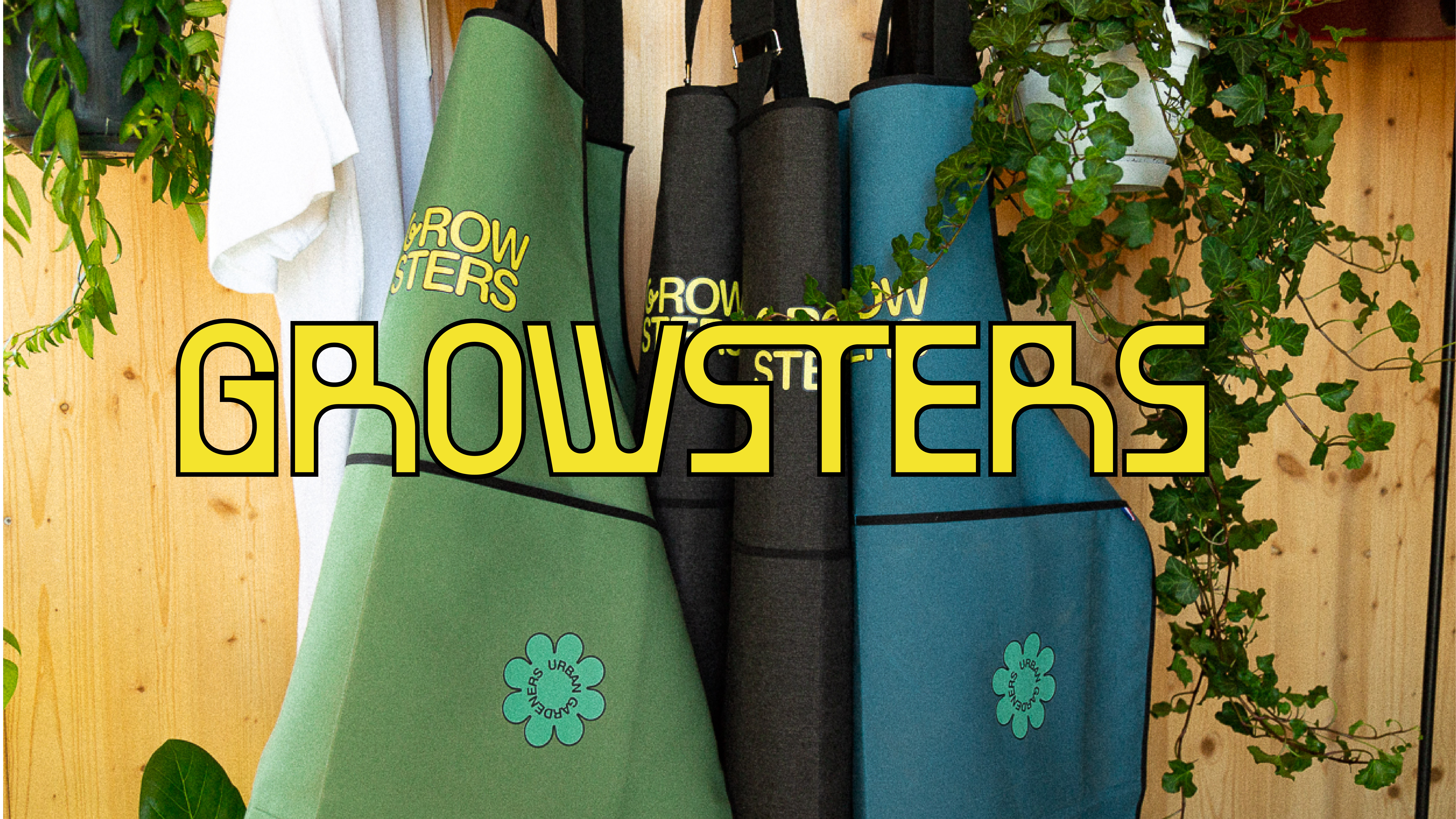 Growsters 3087 - Nash and Young