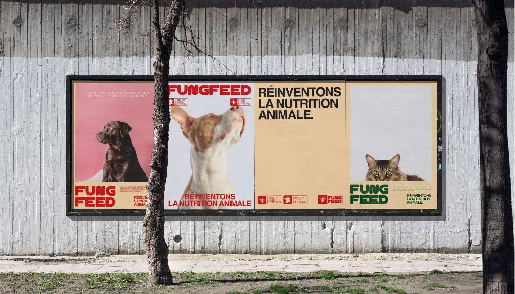 Fungfeed 3102 - Nash and Young