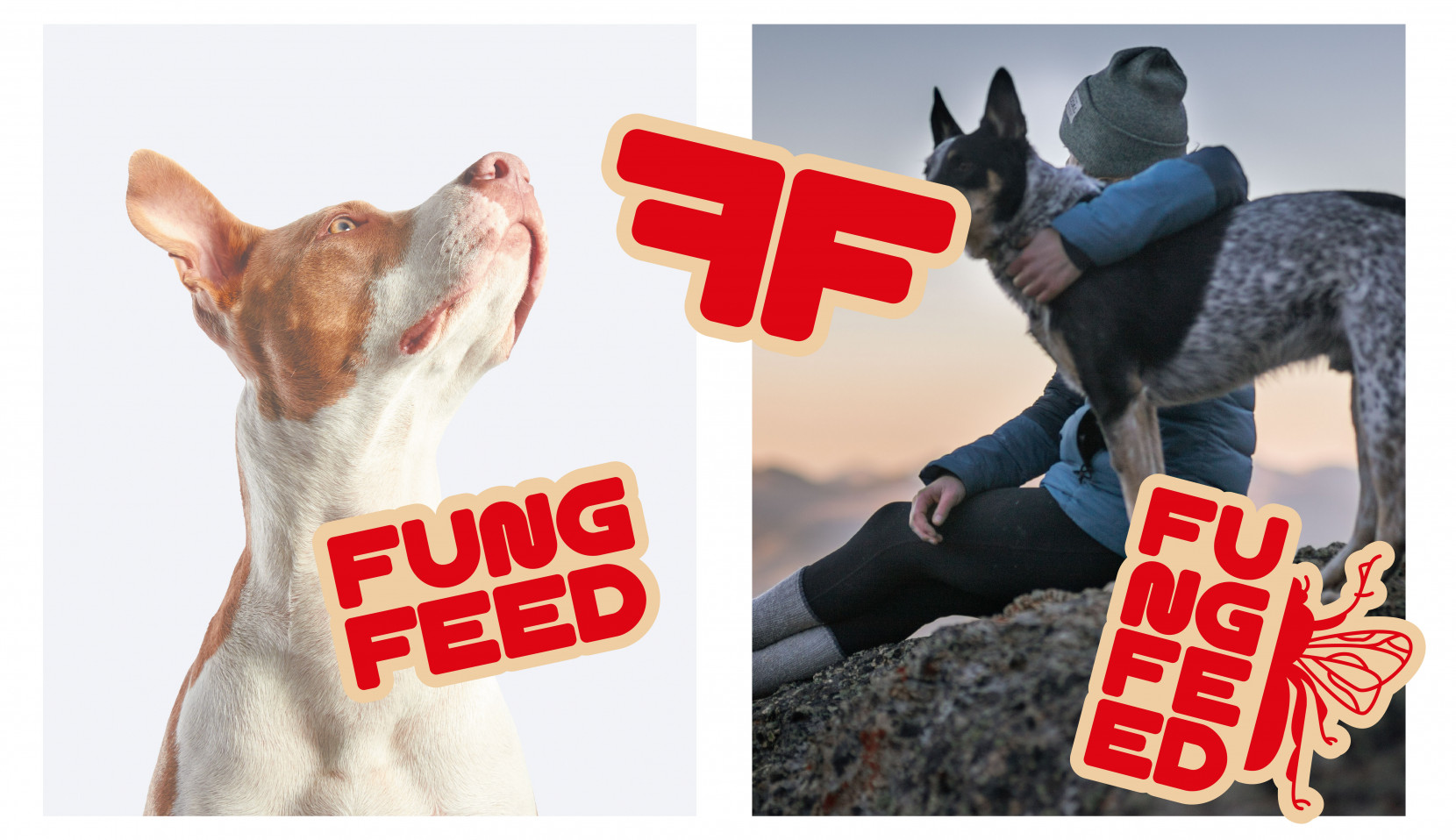 Fungfeed 3104 - Nash and Young
