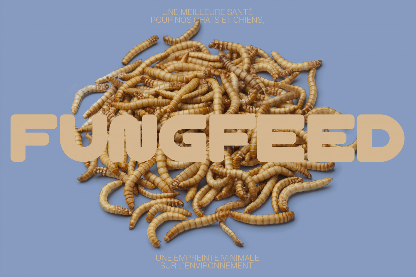 Fungfeed 3105 - Nash and Young