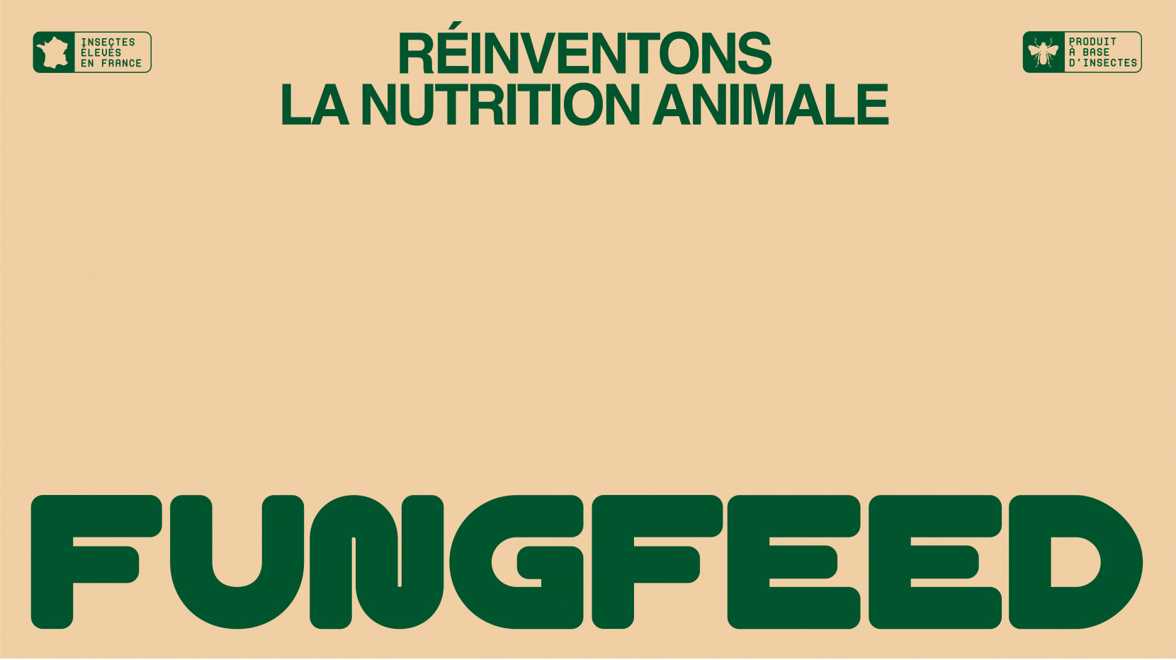 Fungfeed 3106 - Nash and Young