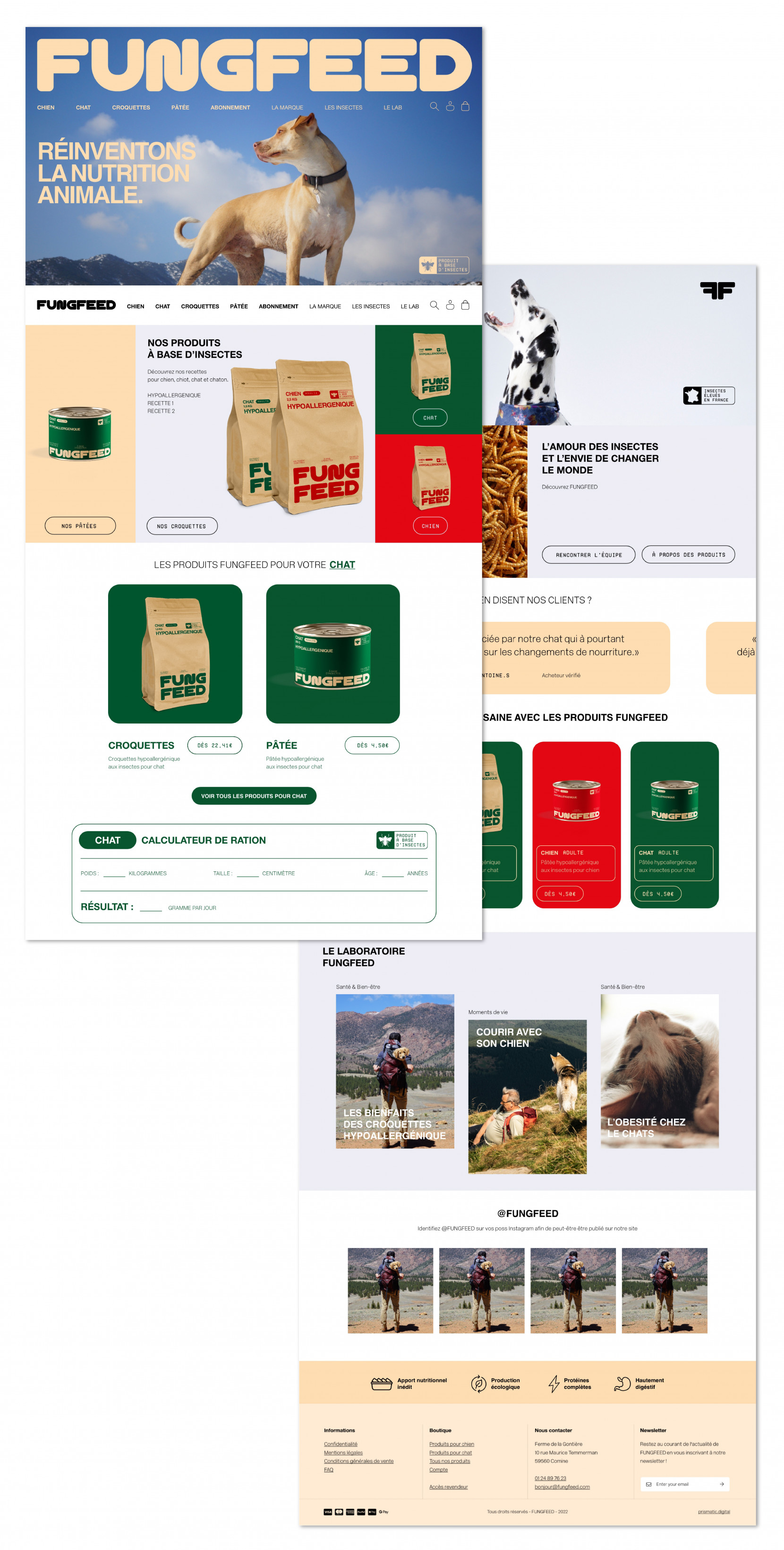 Fungfeed 3107 - Nash and Young