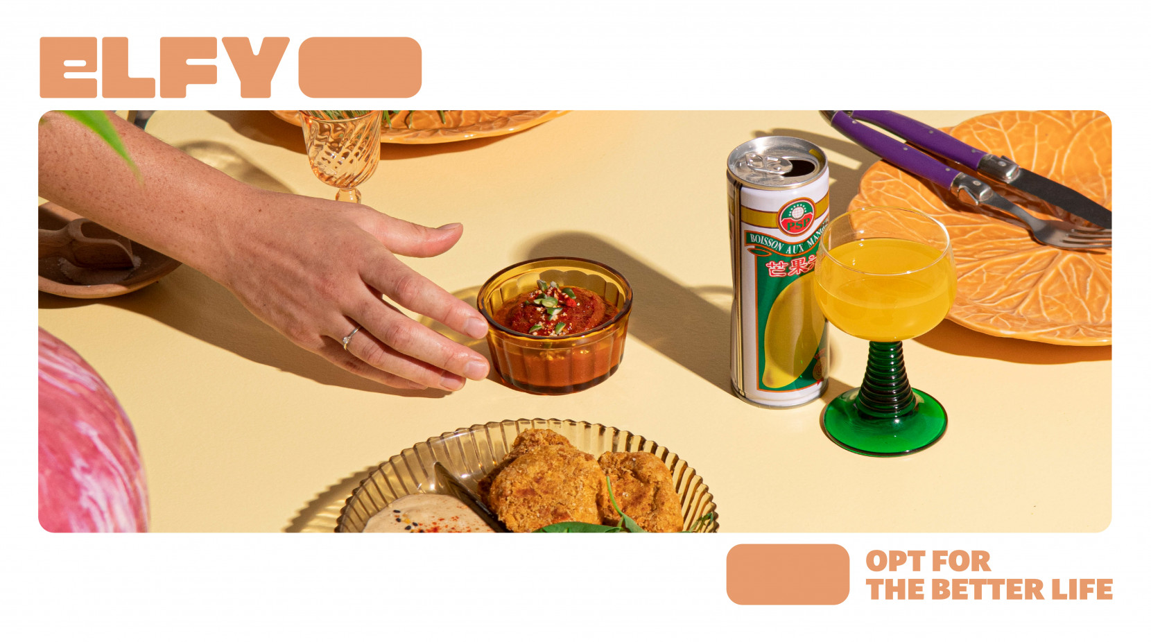 Elfy 3057 - Nash and Young