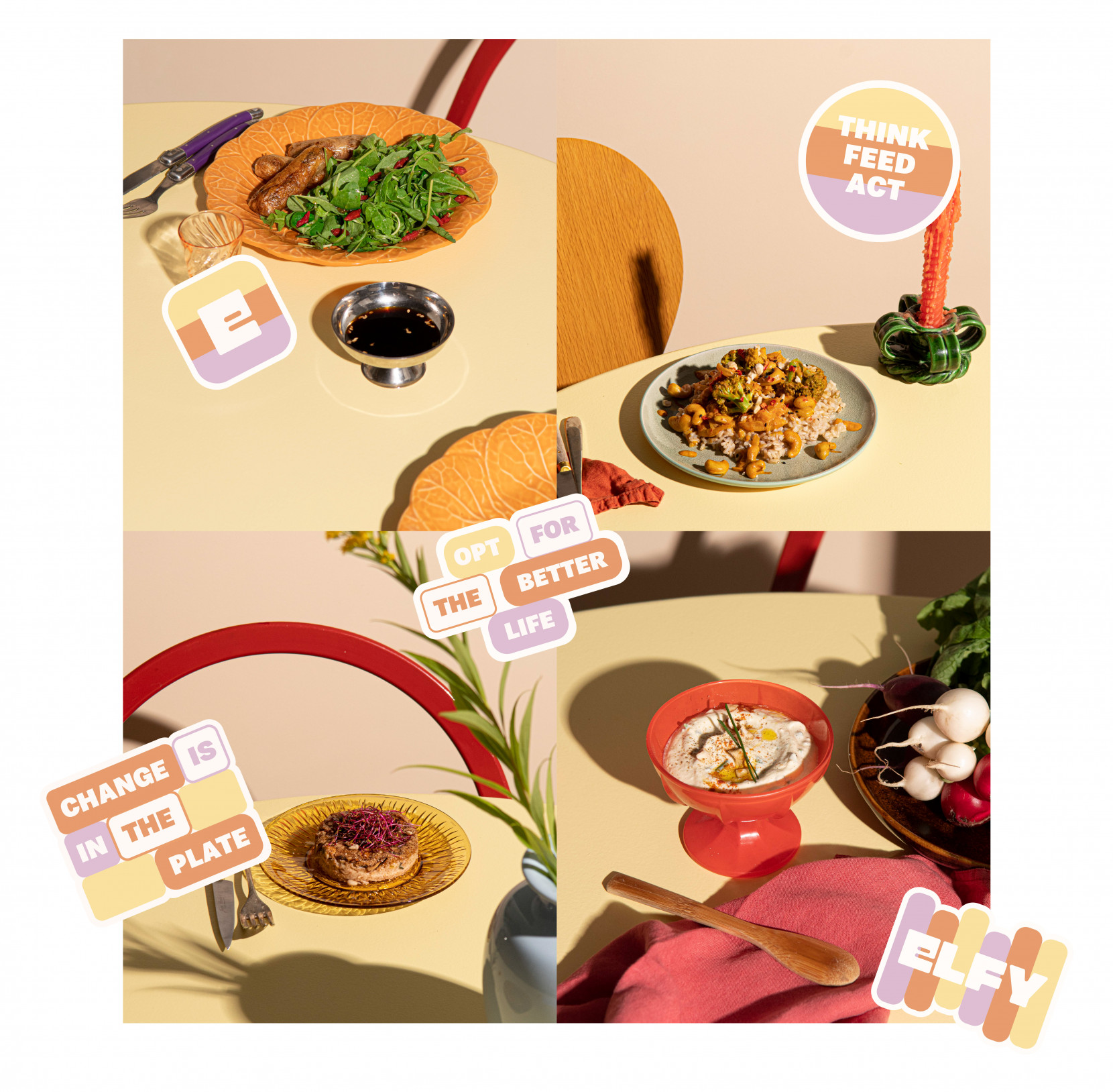 Elfy 3058 - Nash and Young