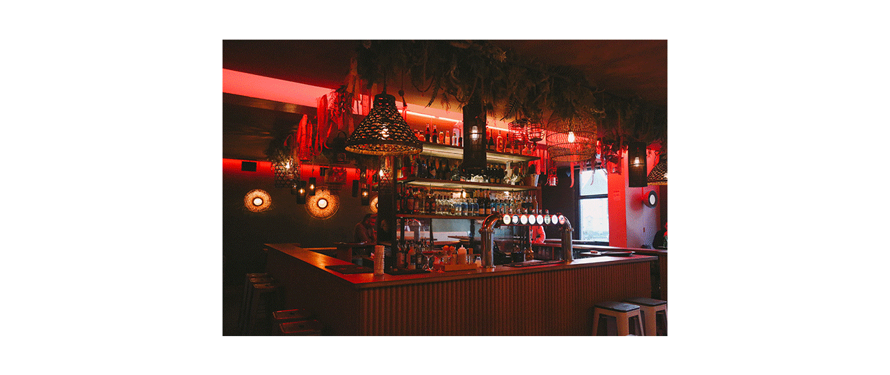 Social Group 1753 - Nash and Young