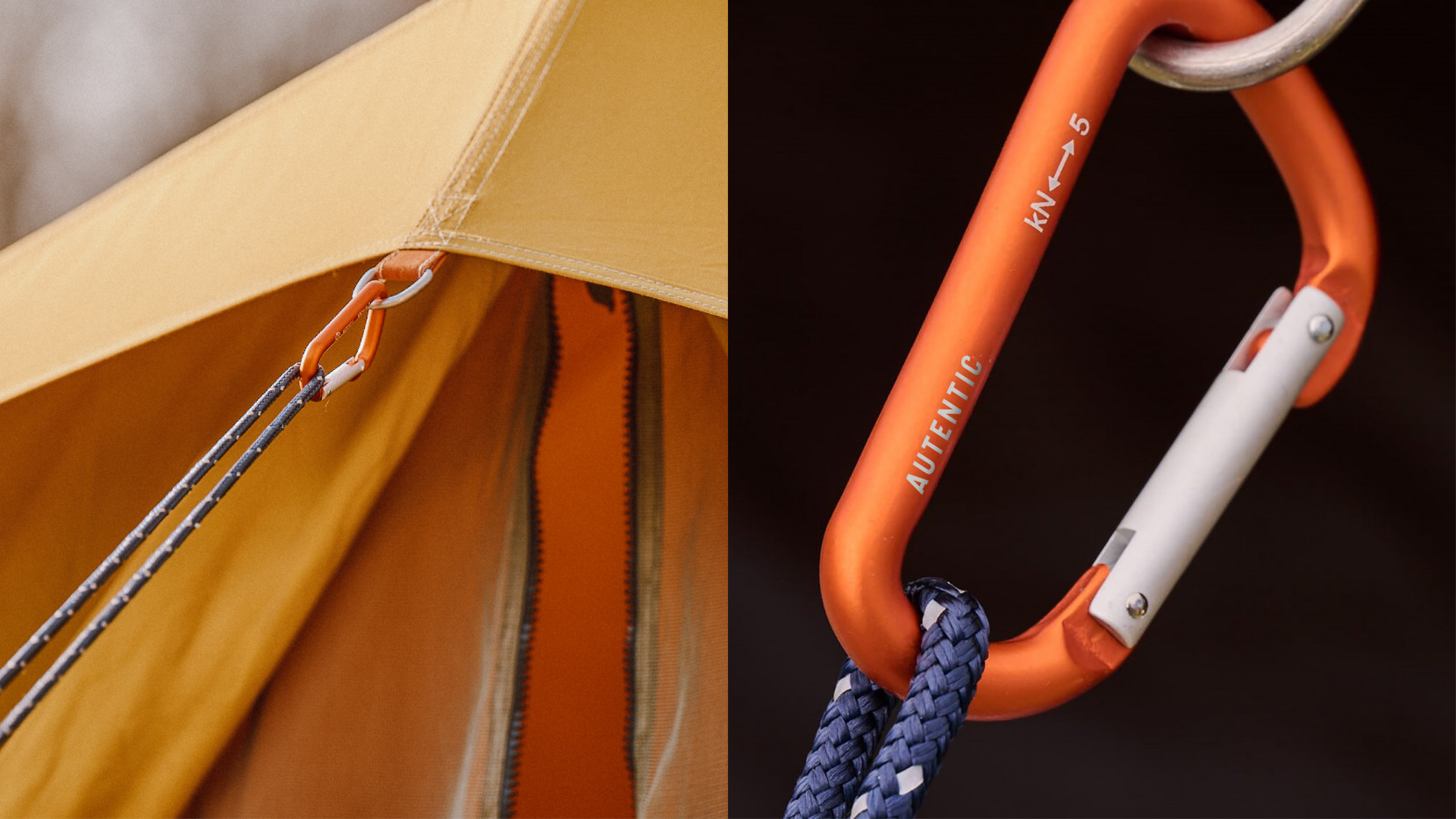 Autentic 3275 - Nash and Young