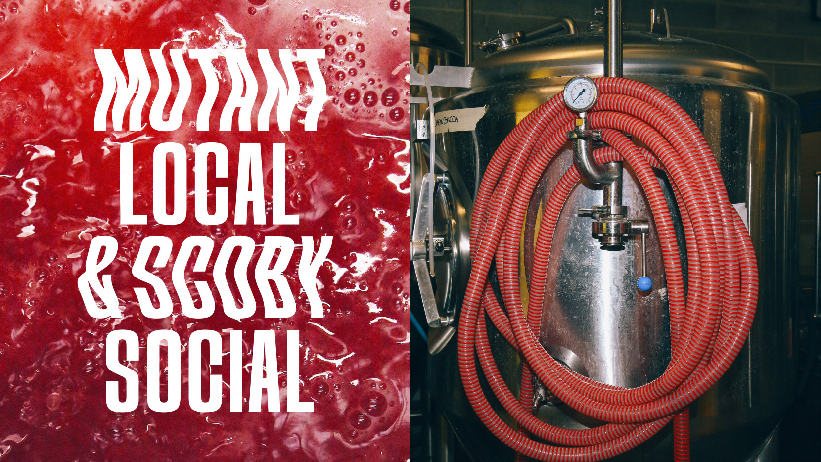 Loven 3423 - Nash and Young