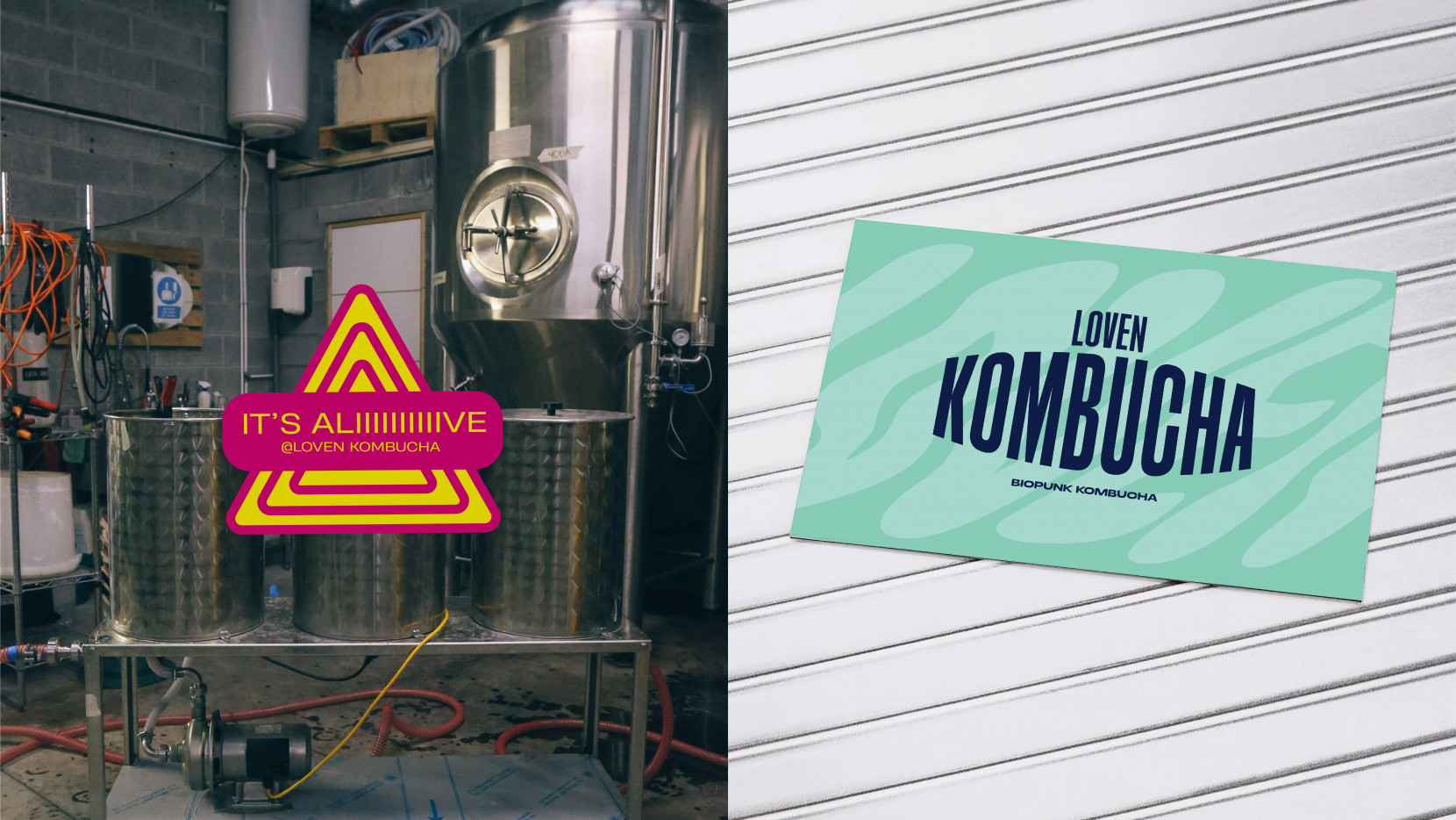 Loven 3431 - Nash and Young