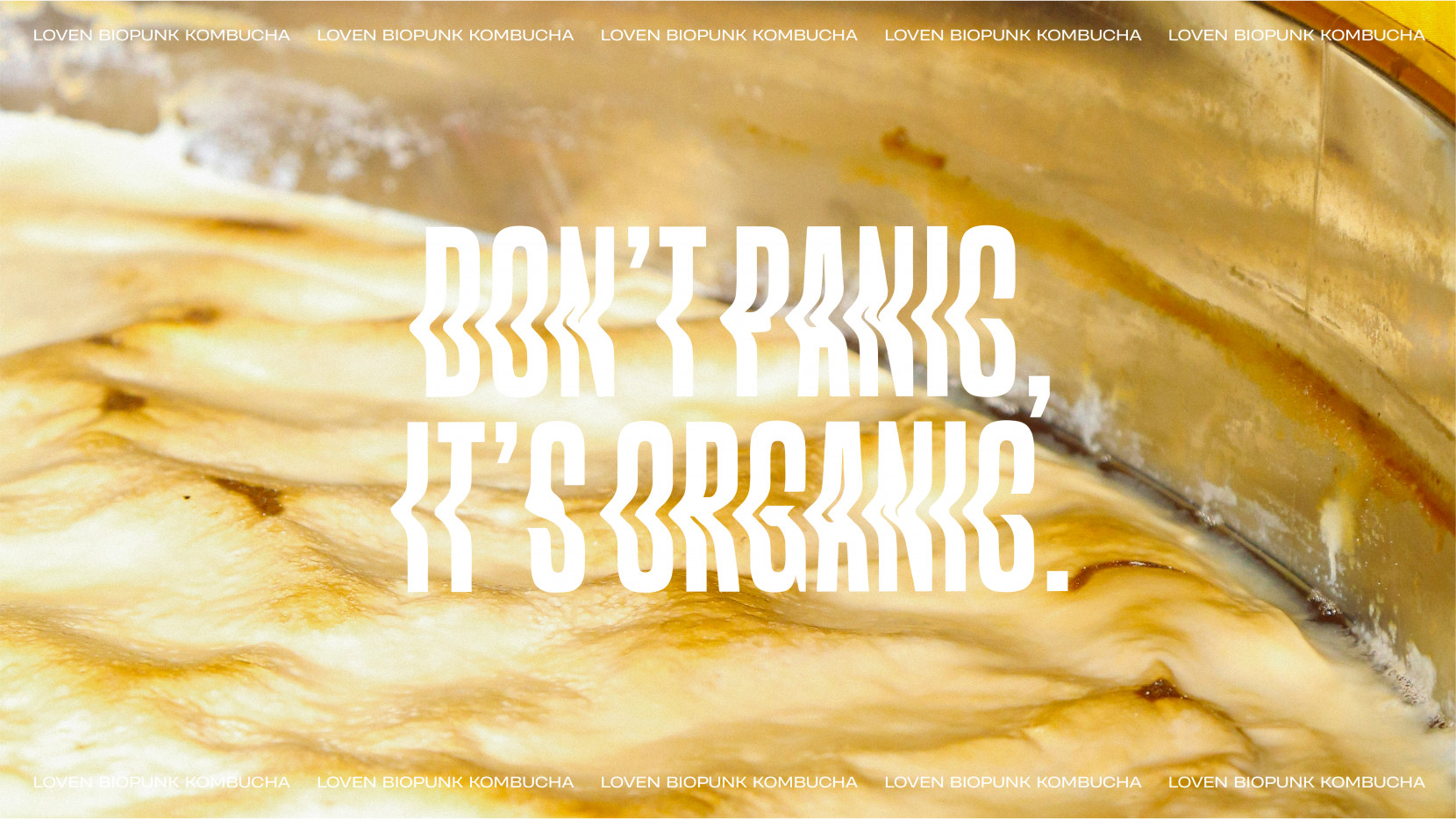 Loven 3438 - Nash and Young