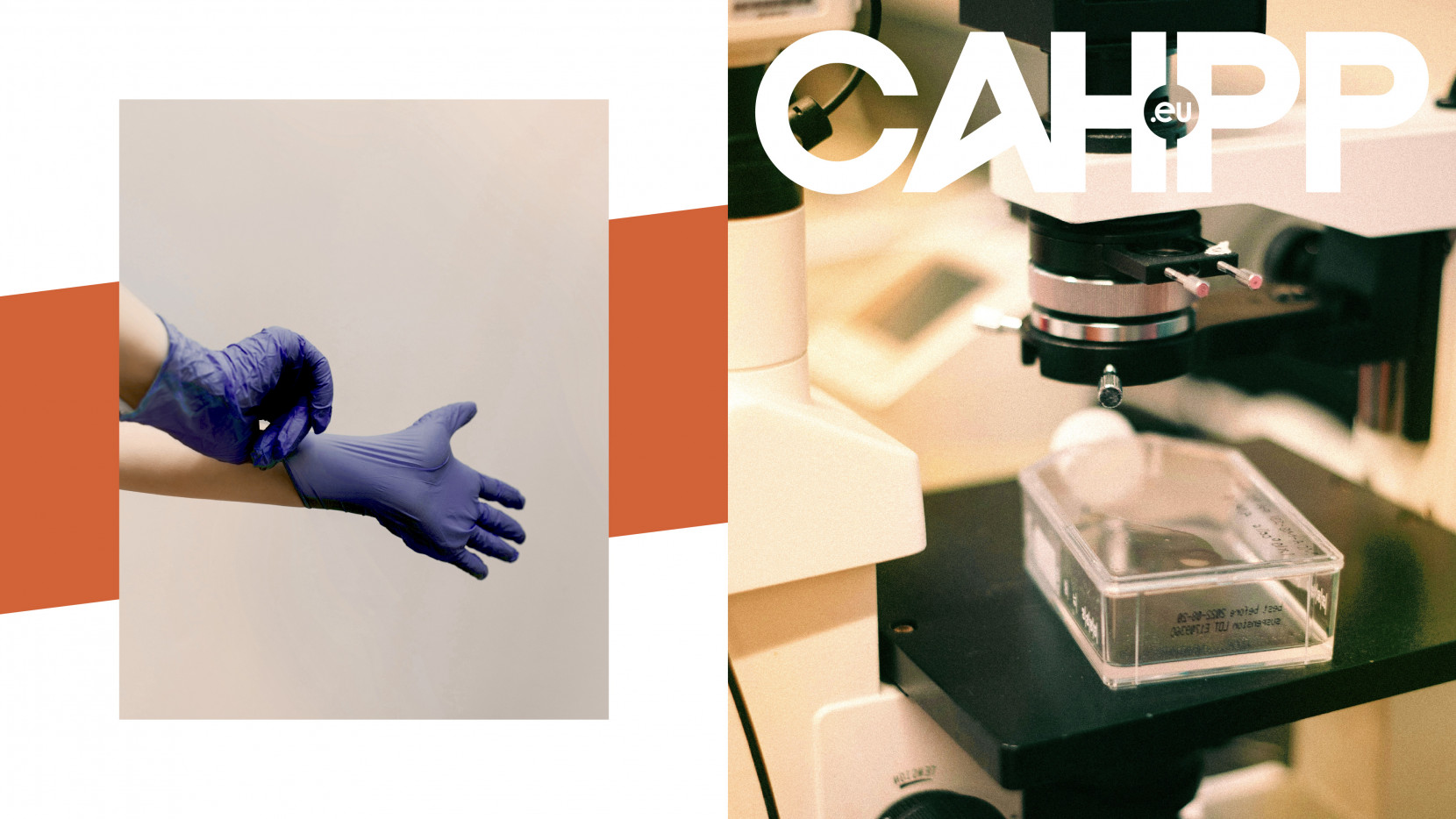 CAHPP MEDICAL 4822 - Nash and Young