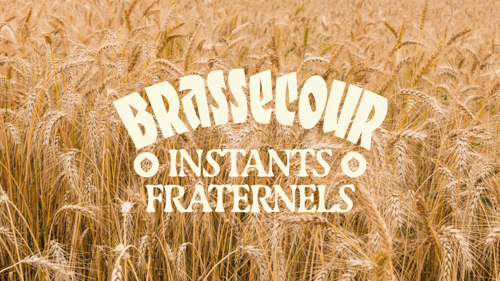 BRASSECOUR 5106 - Nash and Young