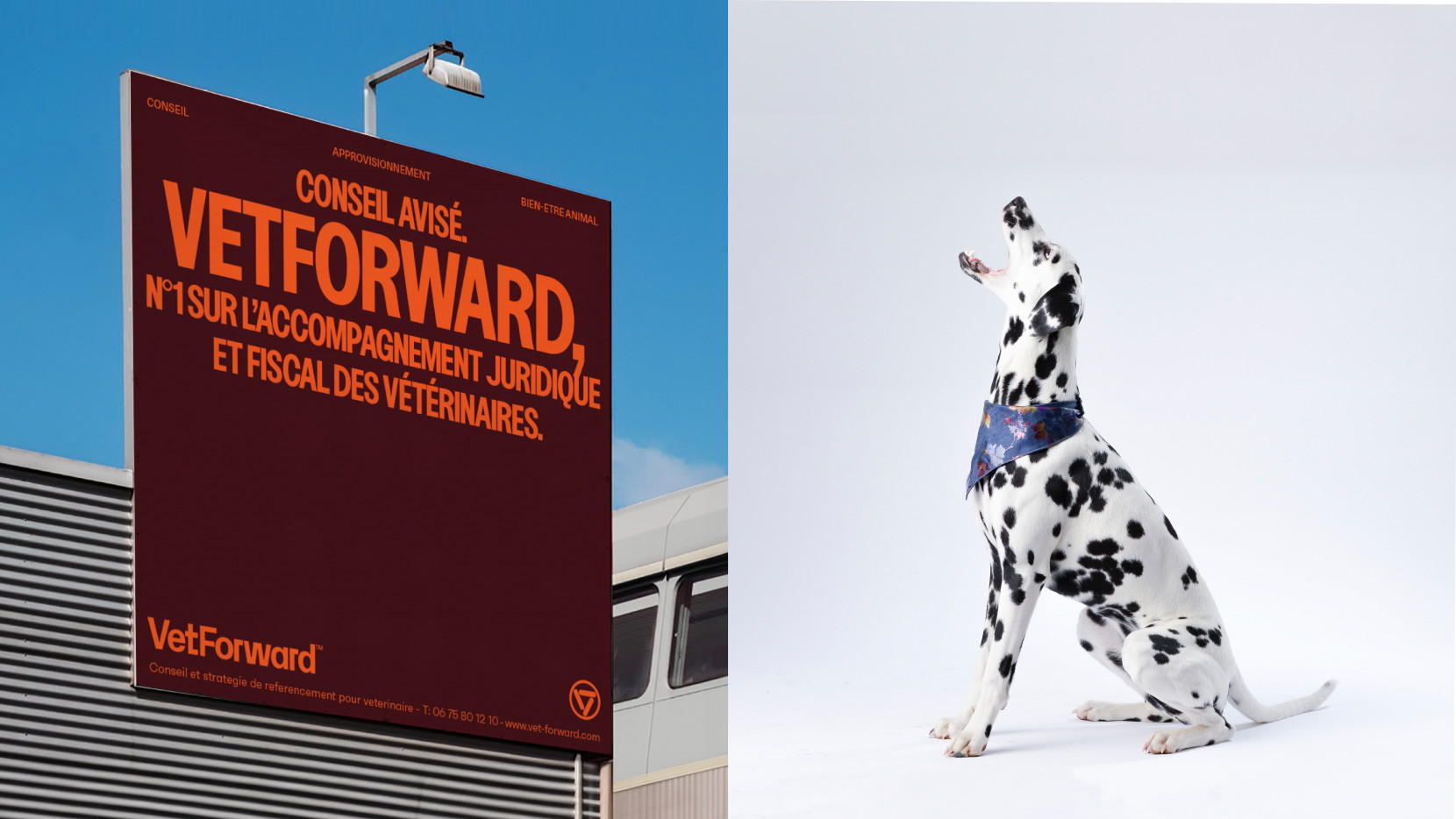 VETFORWARD 5058 - Nash and Young