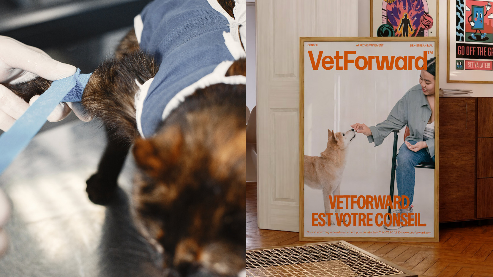 VETFORWARD 5064 - Nash and Young