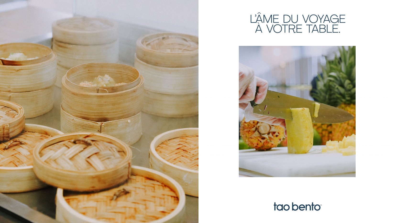 TAO BENTO 5197 - Nash and Young