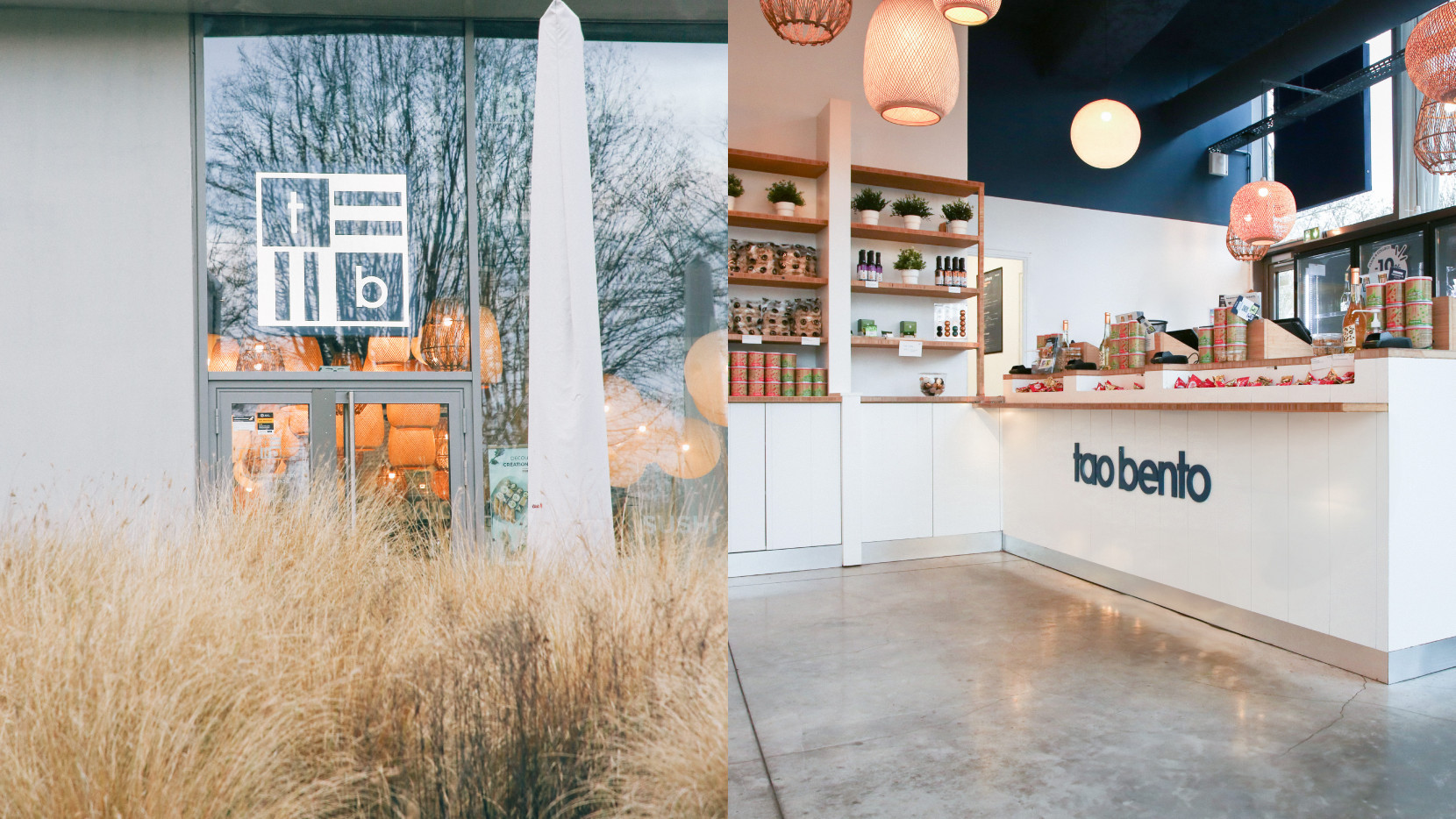 TAO BENTO 5201 - Nash and Young