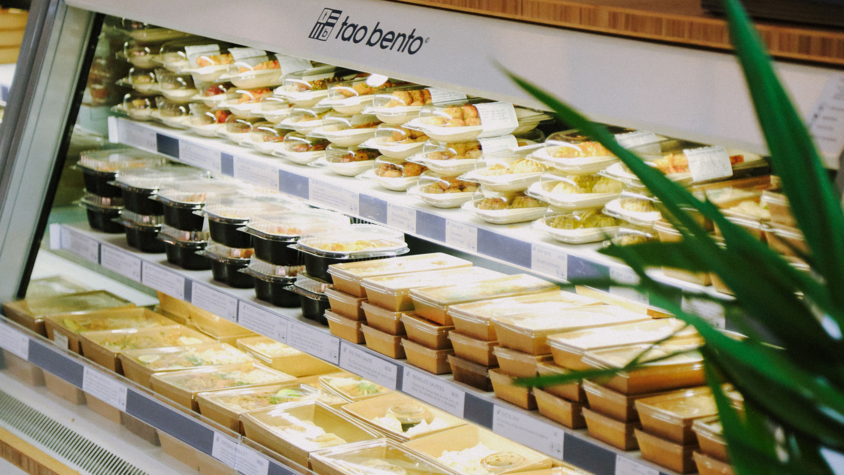 TAO BENTO 5209 - Nash and Young