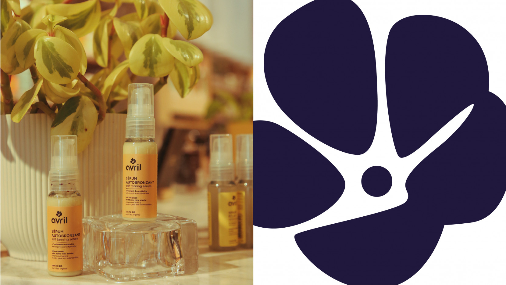 AVRIL 5454 - Nash and Young