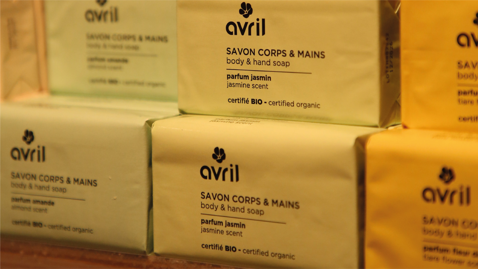 AVRIL 5455 - Nash and Young