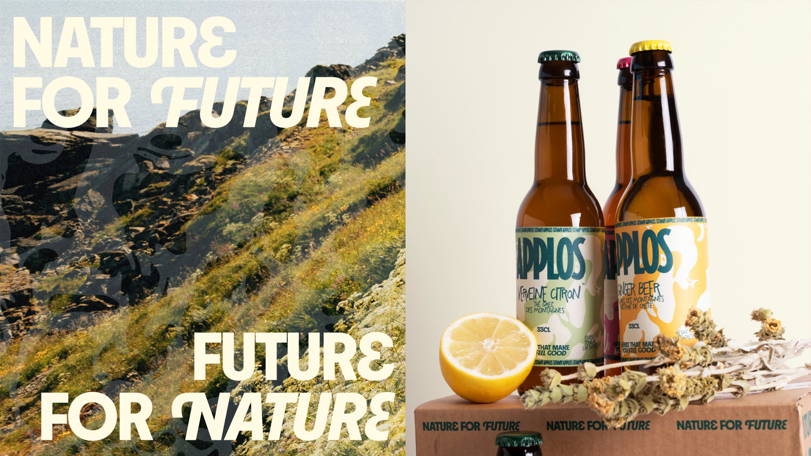 Applos 5877 - Nash and Young