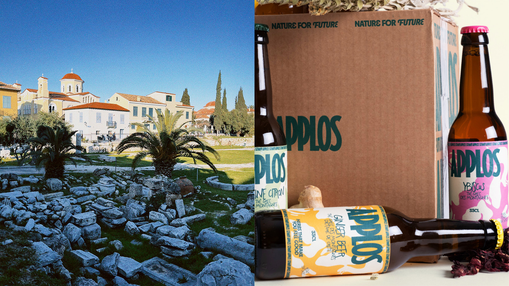 Applos 6007 - Nash and Young