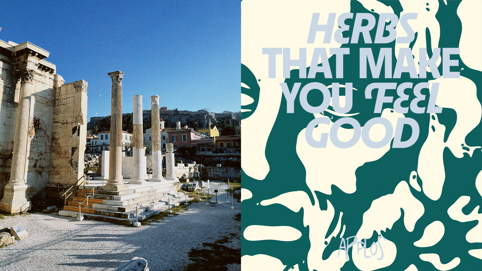 Applos 5880 - Nash and Young