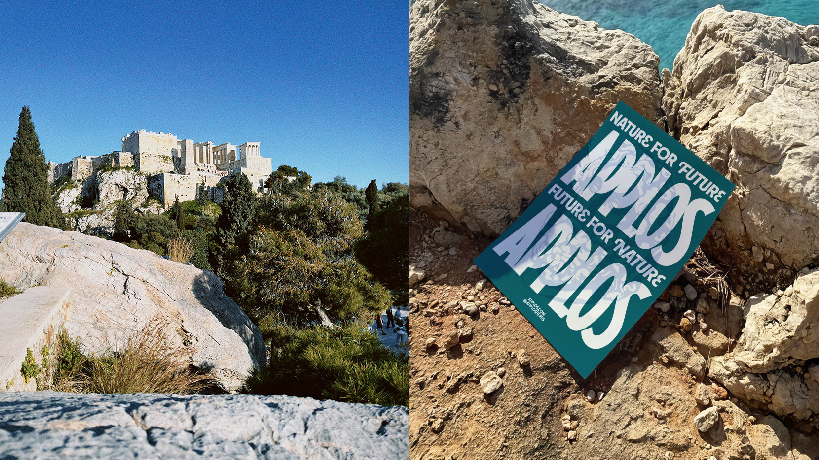 Applos 5878 - Nash and Young