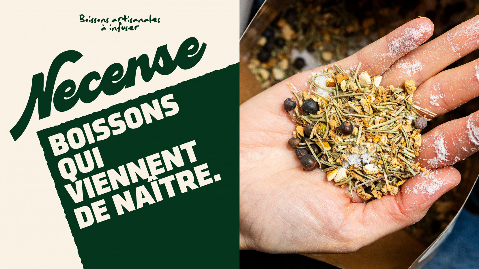 Necense 6025 - Nash and Young