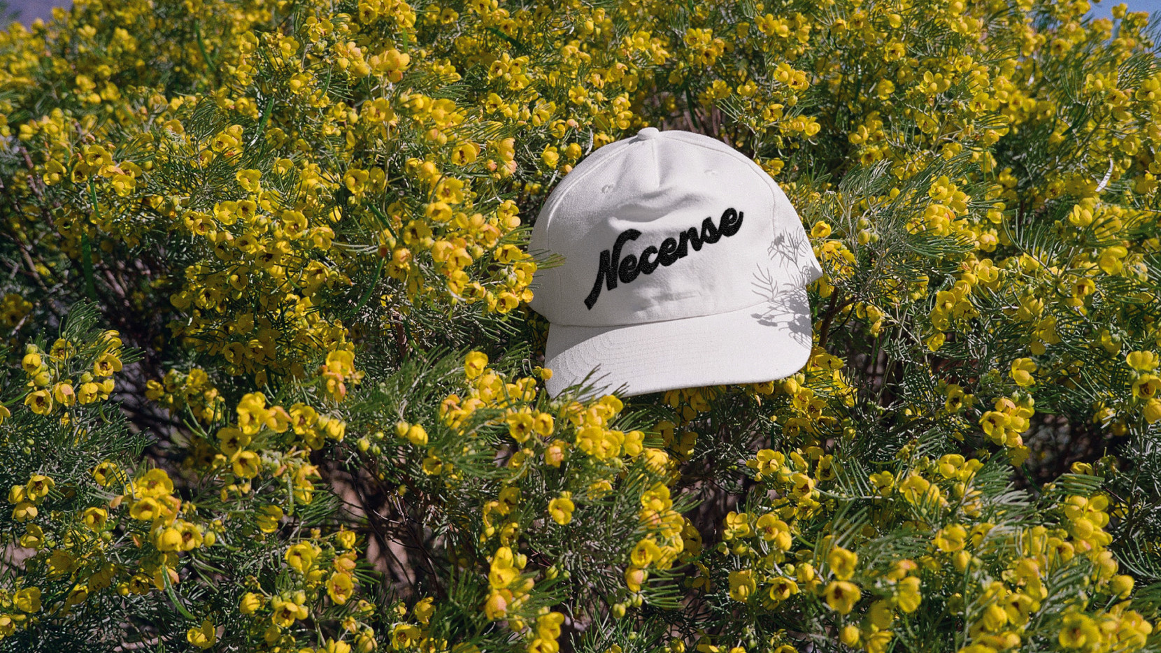 Necense 6030 - Nash and Young