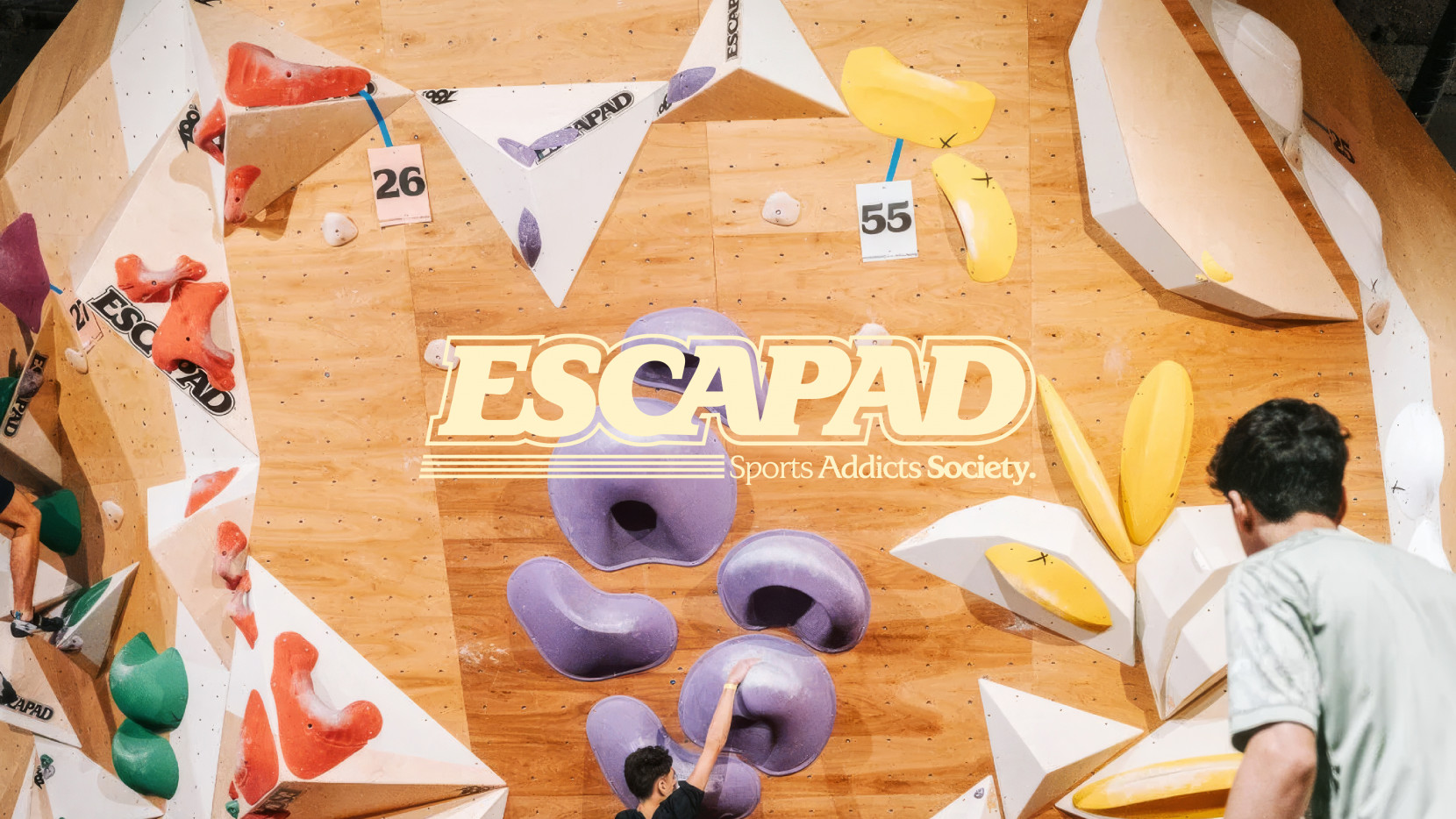 ESCAPAD 6055 - Nash and Young