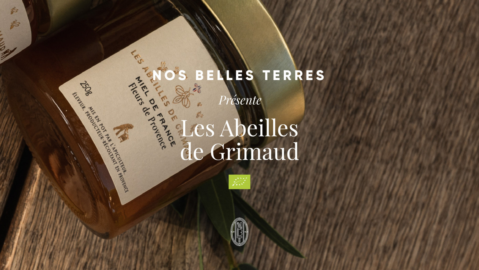 NOS BELLES TERRES 6362 - Nash and Young