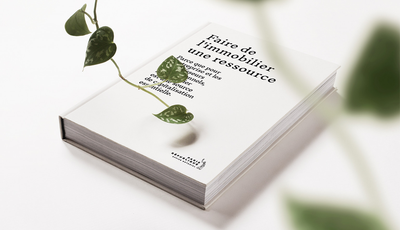 Office Notarial Paris République 3134 - Nash and Young