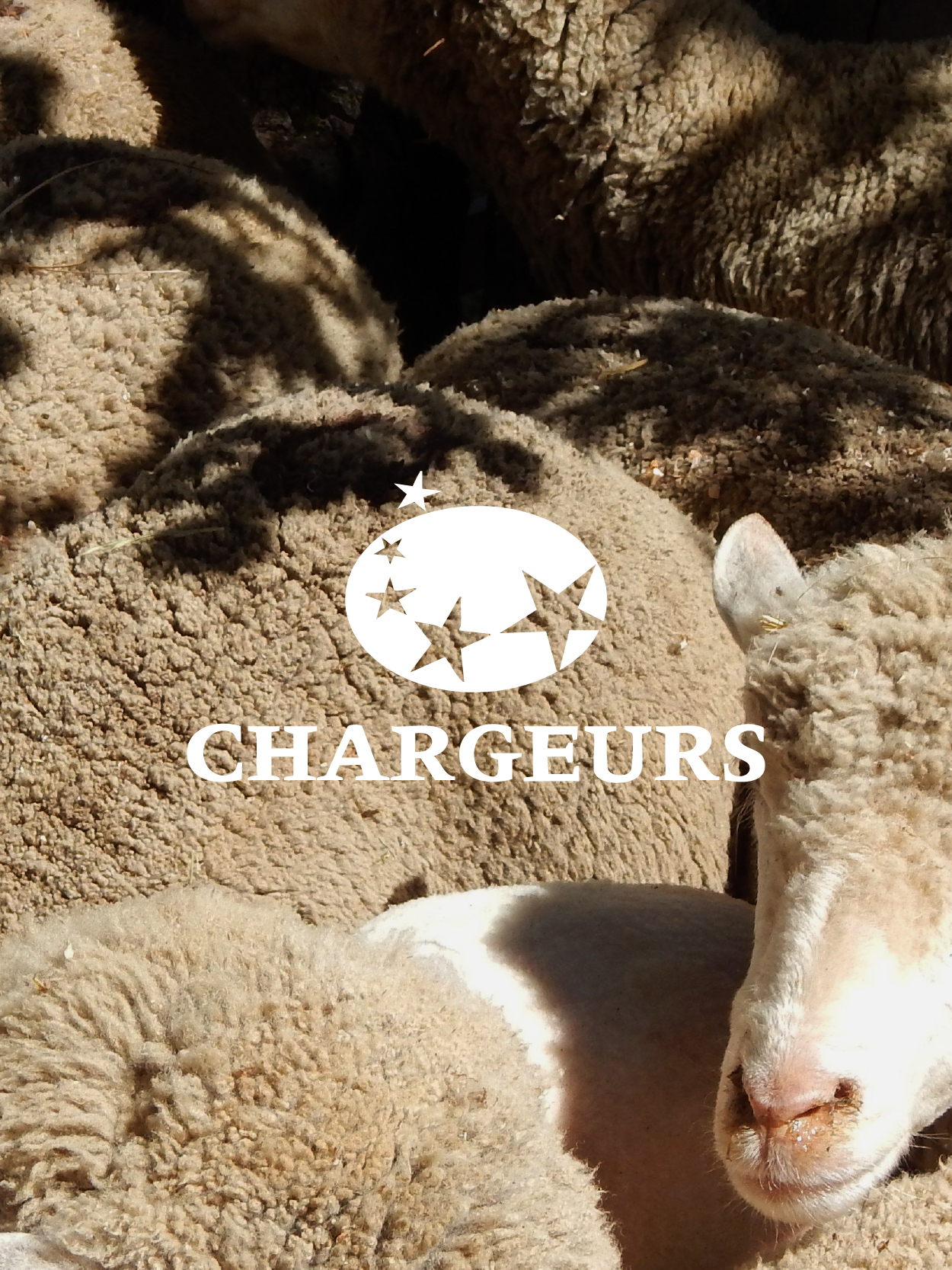 Chargeurs. Stratégie de portefeuille de marques.