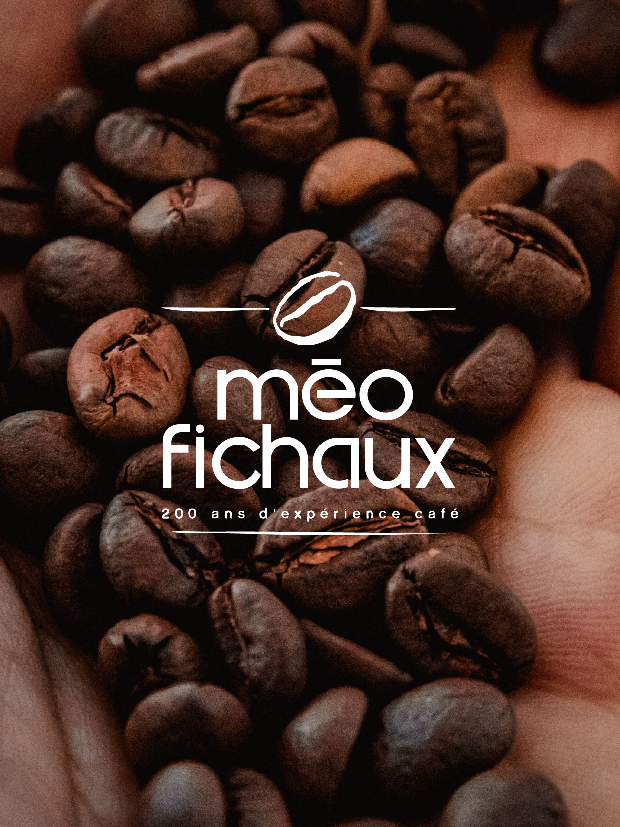 Méo Fichaux. Stratégie d’intégration de groupe.