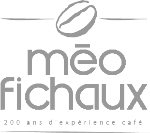 Méo Fichaux. Stratégie d’intégration de groupe.